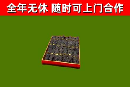 阿拉善盟回收海参